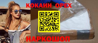 гидра Рязань