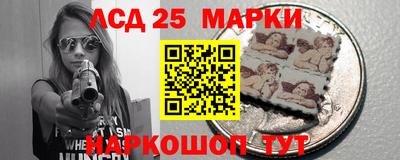 гидра Рязань