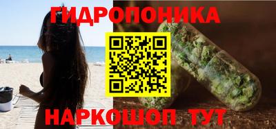 гидра Рязань