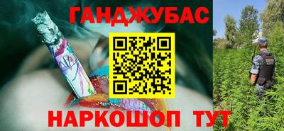 гидра Рязань